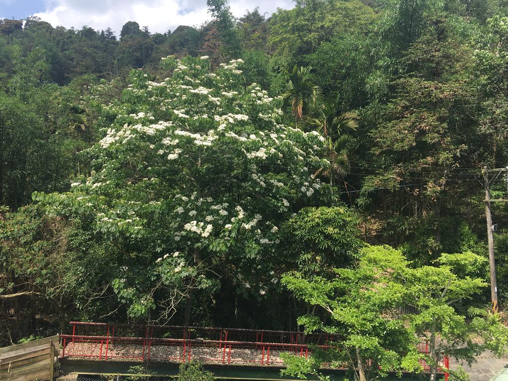 Dingdai Cherry Blossoms Resort Nantou Dış mekan fotoğraf
