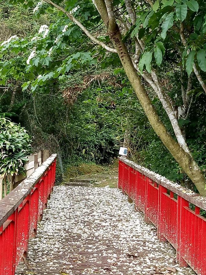 Dingdai Cherry Blossoms Resort Nantou Dış mekan fotoğraf